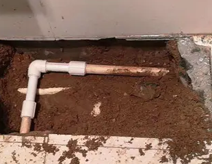 达日测漏水哪家好