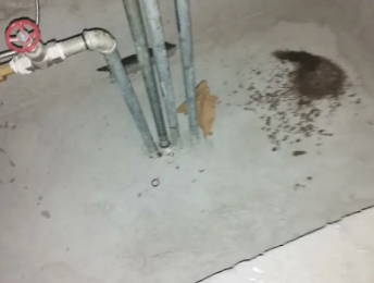 达日卫生间测漏水价格明细